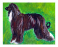 AFGHAN HOUND IN ACRYLICS
