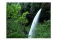 Lush Vegetation Surrounding A Waterfall