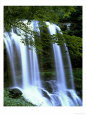 Waterfall in the Forest