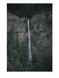 A tall and narrow waterfall emptying into a forest of pines