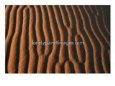 Patterns in Desert Sand, Merzouga and the Dunes, Morocco
