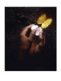 Hand with Egg Shell and Butterfly Bugs & Insects Butterflies & Moths