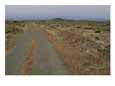 A Dirt Road Winds off to the Horizon