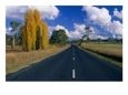 Back Road Between Uralla and Walcha New England National Park, New South Wales, Australia