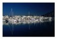 Boats In Marina, Puerto Banus, Costa Del Sol,  Malaga, Spain