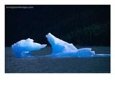 Sculptured Iceberg at Tracy Arm, Tongass National Forest, Alaska, USA