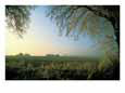 Hoarfrost, Farming Area Near Schwerin