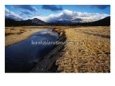 Toulumne Meadows, Mammoth Peak, Yosemite National Park, USA