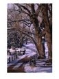 Country Road Leading To Nambe Ranch In Early Winter., New Mexico, U.S.A.