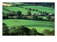 The Fields and Farmhouses of County Cork, Ireland
