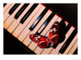 Butterfly on Piano Keyboard