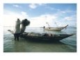 Fisherman, Khoh Sumui, Thailand