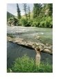 A Nude Woman Relaxes in the Water of a Natural Hot Spring