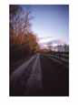 Scenic View of a Dirt Road Scenic Streets & Roadways