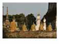 Cloth Draped Statues of Buddha Fill a Courtyard