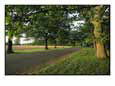 A Tree-Lined Rural Virginia Road