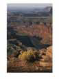 A View from Dead Horse Point in Canyonlands National Park