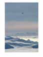 A Twin Otter flies over Calley Glacier on the Antarctic Peninsula