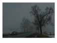 A Foggy Winter View of a Car Driving Down Highway 11