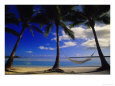 Palms and Hammock, Aitutaki, Cook Islands