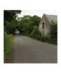 Ireland, Countryside Road with House