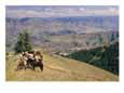 A group of horseback-riding tourists take in the view of Hells Canyon