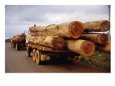 Logging Trucks On Road, Bolaven Plateau, Laos Scenic Streets & Roadways