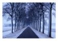 Straight Winter Road