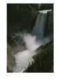 The Yellowstone River Tumbles 308 Feet at Lower Falls