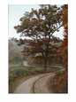 A twisty road meanders through the countryside