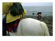 Horseback riding near Bohai Sea, Qinhuangdao, Hebei Province, China