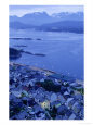 Harbor and Mountains at Night, Alesund, Norway