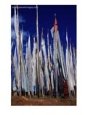 Prayer Flags, Lungdhar, Thimphu, Bhutan