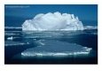 Ice Floes (Free Floating Pieces Of Ice) And Iceberg, Antarctica