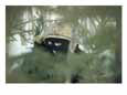A soldier in full camouflage