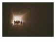 Tourists Inside the Egyptian Tomb of Tawsert at Luxor