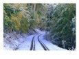 Winter Snow Covers A Road In The Mt Sneffels Wilderness., San Juan National Forest, Colorado