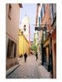 Alley In Saint Tropez, Provence French Riviera