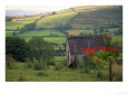 The Mourne Mts, County Down, Northern Ireland