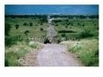 Jeep On Dirt Road., Ngorongoro Conservation Area, Arusha, Tanzania
