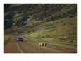 Sheep Crossing Road Scenic Streets & Roadways