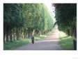 Chateau de Versailles, France Scenic Streets & Roadways