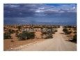 Un-Made Road Cutting Across Scrubby Plains, Kgalagadi Transfrontier Park, South Africa