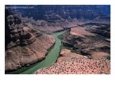 Grand Canyon West, Hualapai Indian Reservation View., U.S.A.