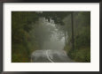 Ireland - Foggy Road In Countryside Scenic Streets & Roadways