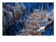 Hoodoo