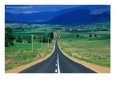 Road to Mt. Buller in the Victorian Alps, Victoria, Australia