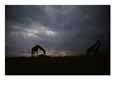 Silhouette of Giraffes at Twilight