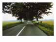Road through the German countryside