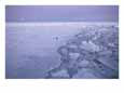 The Wake of the Nathaniel B. Palmer as it Plows Through the Ice in the Frozen Southern Ocean